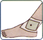 detox chi foot patches